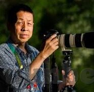 99精品人妻-99精品人妻，传统与现代交织的婚姻观探索